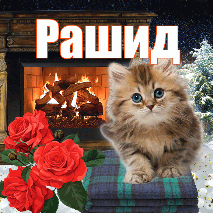 Рашид! Чудесного зимнего вечера! Красивая открытка Рашиду!