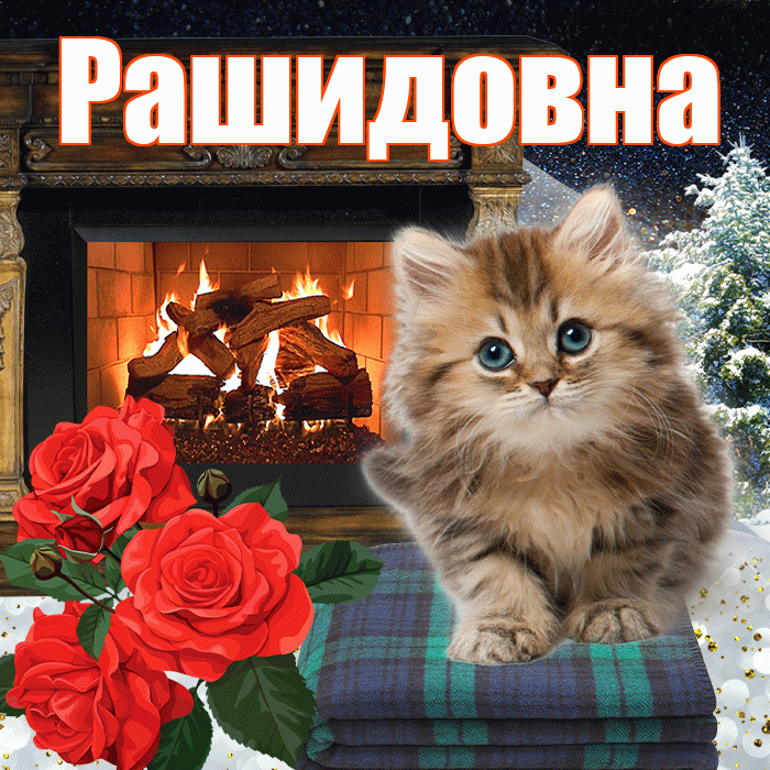 Рашидовна! Чудесного зимнего вечера! Красивая открытка Рашидовне!