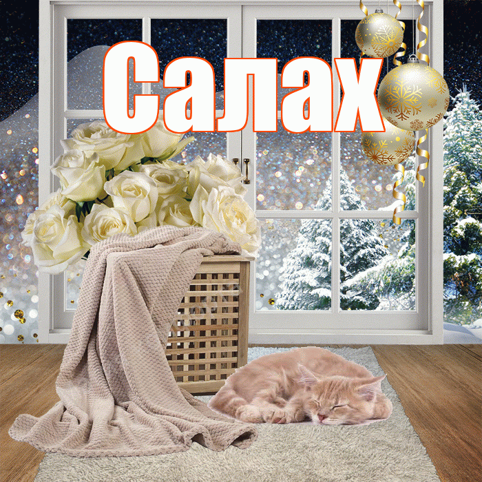 Салах! Чудесного зимнего вечера! Красивая открытка Салаху!