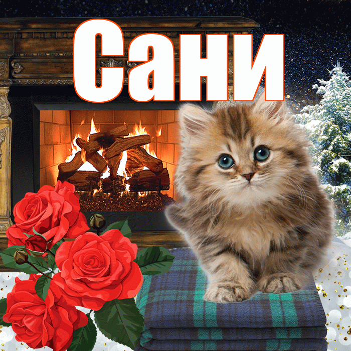 Сани! Чудесного зимнего вечера! Красивая открытка !