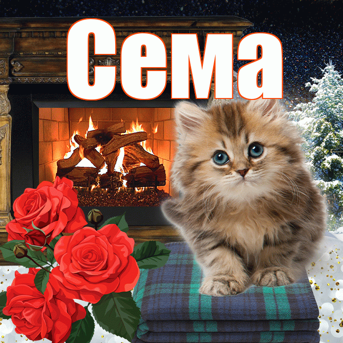 Сема! Чудесного зимнего вечера! Красивая открытка Сёму!