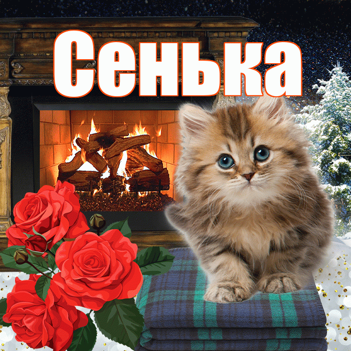 Сенька! Чудесного зимнего вечера! Красивая открытка !