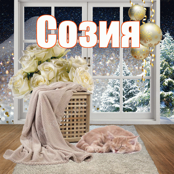 Созия! Чудесного зимнего вечера! Красивая открытка Созии!