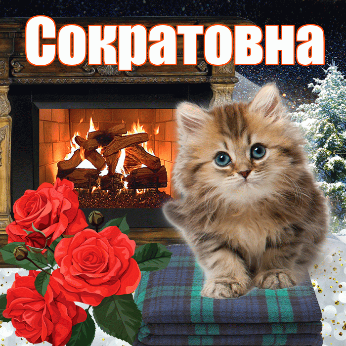 Сократовна! Чудесного зимнего вечера! Красивая открытка Сократовне!
