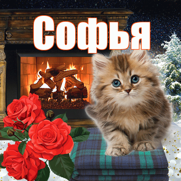 Софья! Чудесного зимнего вечера! Красивая открытка Софье!