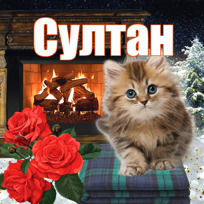 Султан! Чудесного зимнего вечера! Красивая открытка Султану!