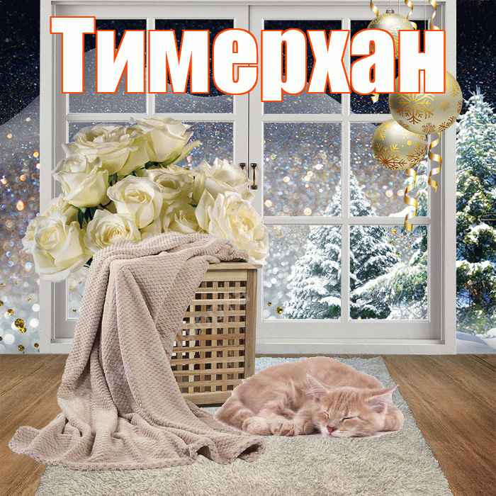 Тимерхан! Чудесного зимнего вечера! Красивая открытка Тимерхану!