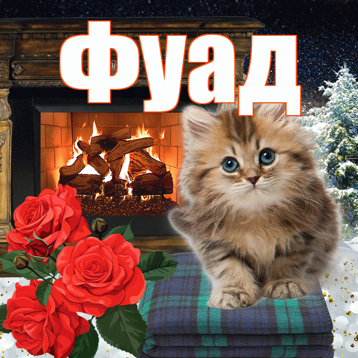 Фуад! Чудесного зимнего вечера! Красивая открытка Фуаду!