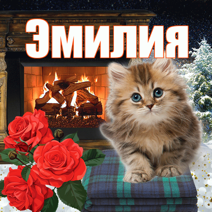 Эмилия! Чудесного зимнего вечера! Красивая открытка Эмилию!