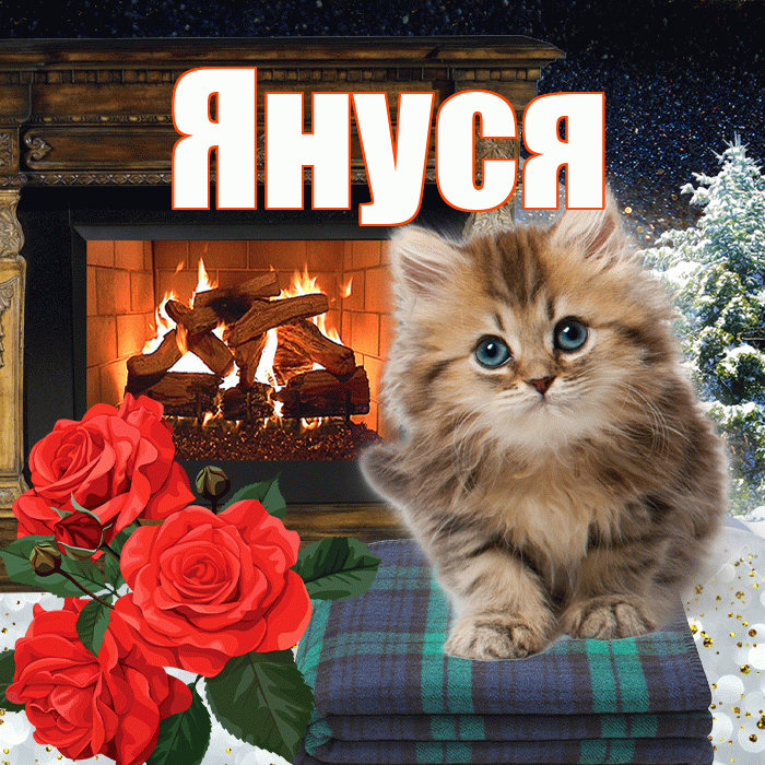 Януся! Чудесного зимнего вечера! Красивая открытка !